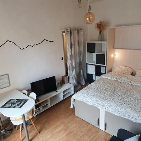 Studio Lumineux Au Centre Ville Баньер-де-Бигор Экстерьер фото